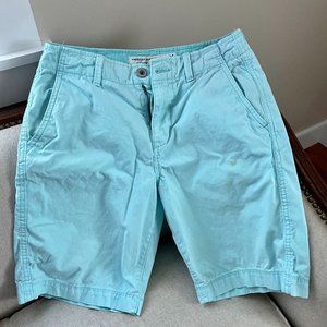 American Eagle Outfitters Classic Fit Men's Shorts